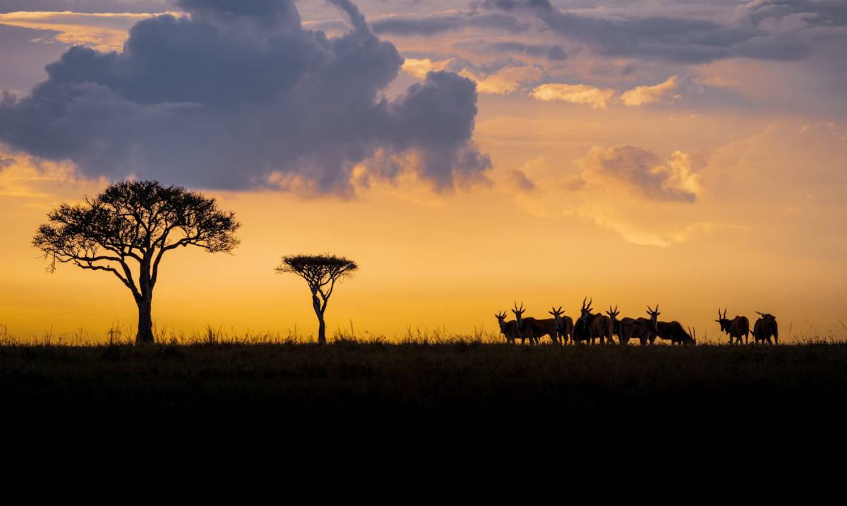 Serengeti – Arusha – Salida