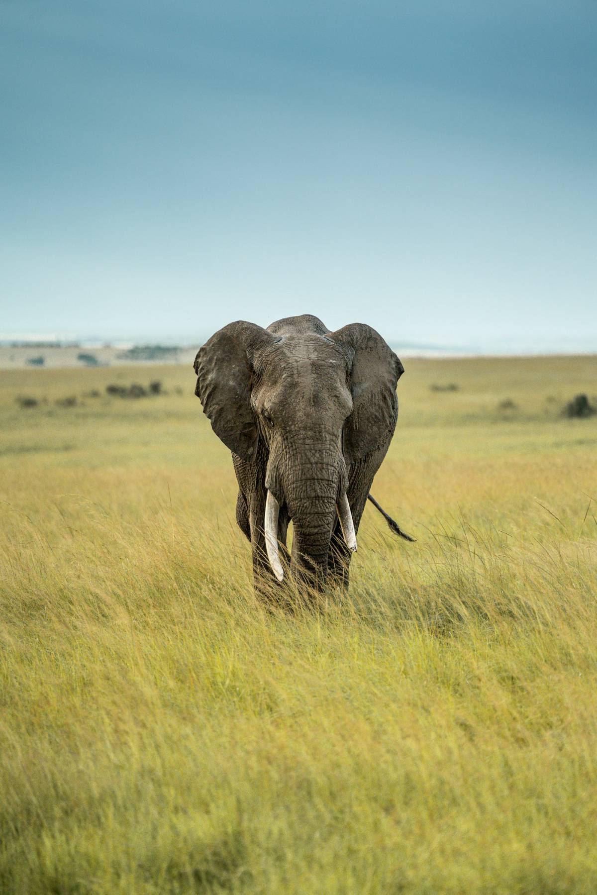 Parque Nacional Tarangire