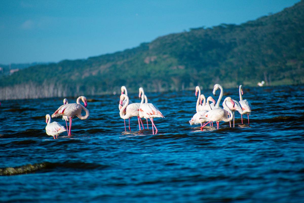 Lago Nakuru – Frontera – Arusha (Tanzania)